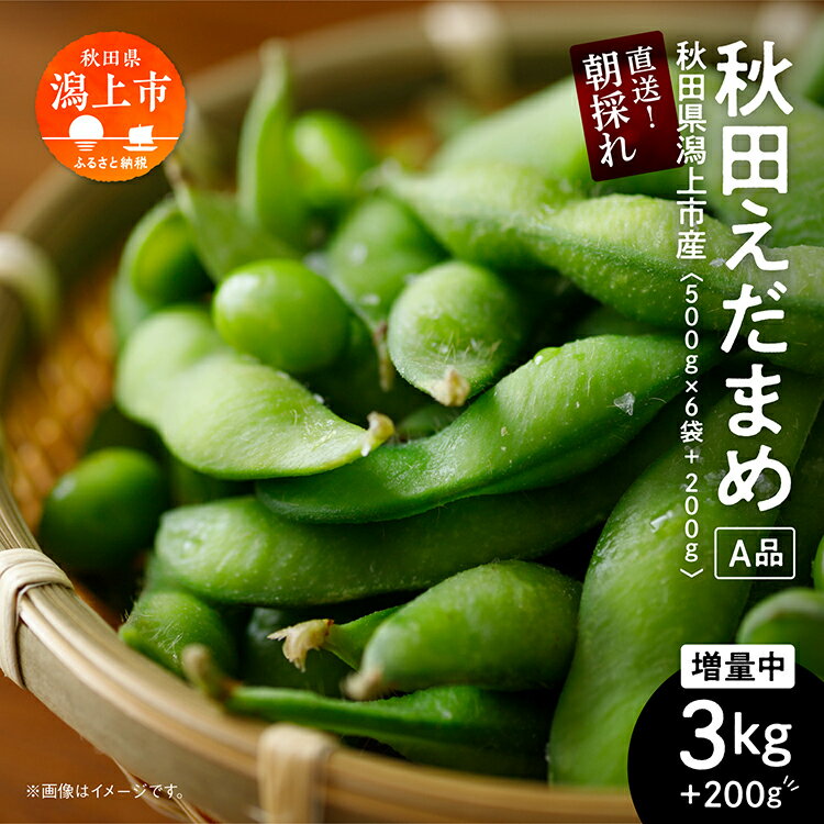 【ふるさと納税】 《先行予約》令和7年産 枝豆 3kg 農家直送 収穫 当日発送 A品 500g × 6袋 朝獲れ えだまめ 厳選 クール便 発送 個包装 朝採り 野菜 夏野菜 おつまみ 晩酌 特上 Aランクお取り寄せ グルメ 潟上市 秋田 おいしい つまみ 【エスジー・ファーム】