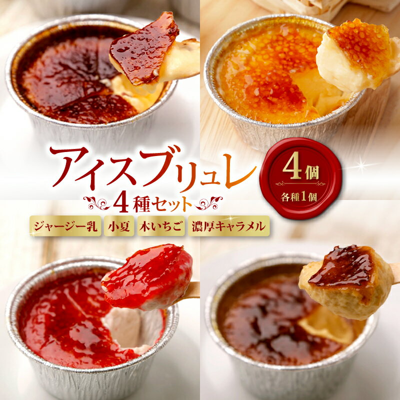 【ふるさと納税】 アイス ブリュレ 4種 セット ジャージー乳 小夏 木いちご 濃厚キャラメル 各種1個 クレーム ブリュレ キャラメル プリン クレームブリュレ おやつ お菓子 スイーツ スウィーツ 贈答 贈り物 ギフト プレゼント 送料無料 人気 おすすめ 高知県 南国市