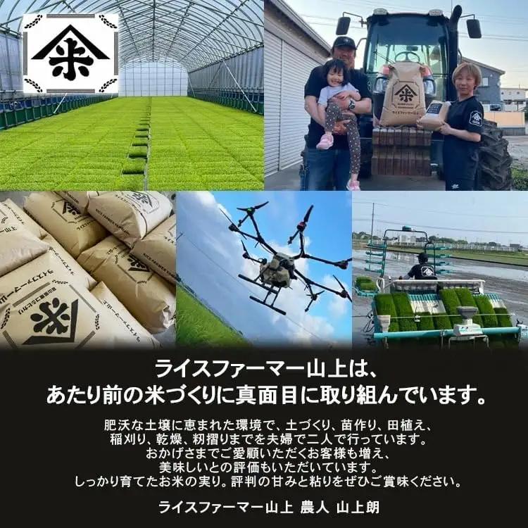 【射水市】【ライスファーマー山上】【農家直送】【射水の美味しいお米】R8年産コシヒカリ5kg【精米】 ※2026年10月上旬～10月下旬頃に順次発送予定 ※離島への配送不可