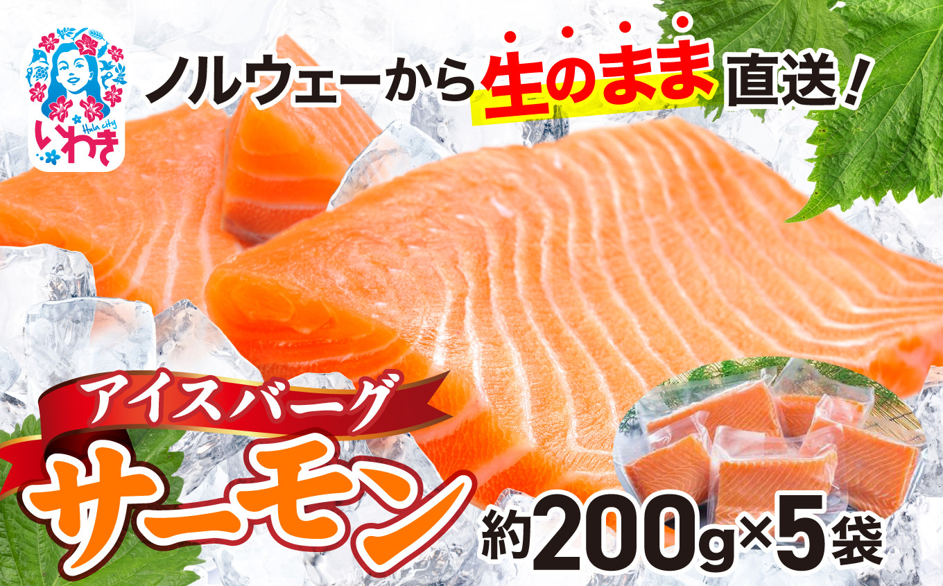 
            アイスバーグサーモン（アトランティックサーモン）　約1kg（約200g×5袋） 刺身 フィレ 個包装 冷凍 さけ サケ 生食サーモン 鮭 魚 海鮮 手巻き寿司 海鮮丼 人気 おすすめ ノルウェー産
          