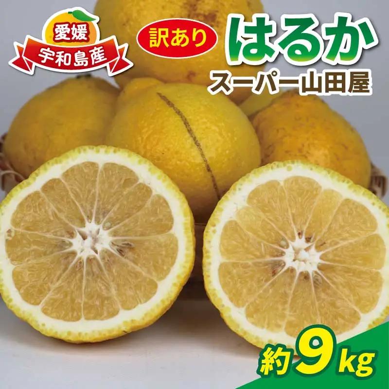 訳あり はるか 約9kg スーパー山田屋 はるか B016-198008