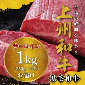 牛肉 サーロイン 【上州和牛】 ブランド 牛 1kg (250g×4枚) 群馬 県 千代田町 ※沖縄・離島地域へのお届け不可 国産 特産品 贈答用 ギフト プレゼント キャンプ ソロキャン バーベキュ