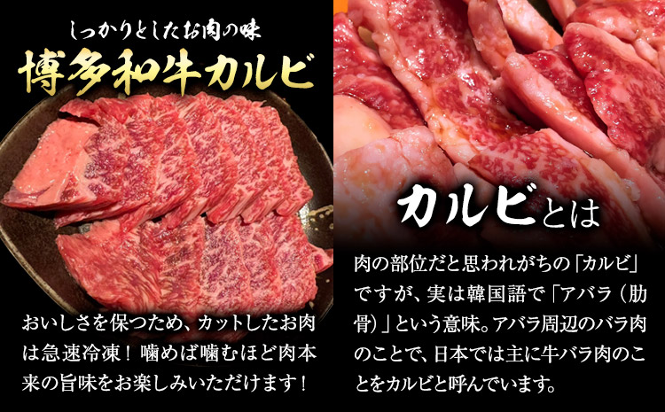 博多和牛 カルビ 上 500g 株式会社寛大グループ 《30日以内に出荷予定(土日祝除く)》 肉 福岡県 小竹町 にく---skr_fkndizk_30d_24_15500_500g---