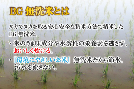 【令和5年産】【定期便】【隔月6回】 BG無洗米 みずかがみ 60kg（10kg × 6回）