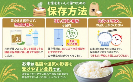 新米 令和8年産 ミルキークイーン 10kg 君津産 米 | きくばり農園 すぐ発送 スピード発送 お米 コメ こめ 白米 精米 千葉県産 もちもち ふっくら 甘み 国産米 千葉県 君津市 きみつ