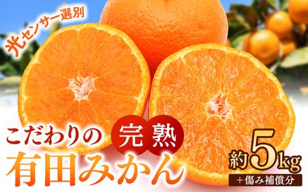 こだわりの 有田 みかん 5kg＋150g(傷み補償分) 【ご家庭用】 ※北海道・沖縄・離島配送不可 ※2026年12月発送予定【nuk004-c-5-decH】 