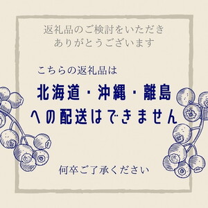【訳あり】＜すだ農園＞栽培期間中農薬不使用 朝摘み ブルーベリー 生果実【小粒・中粒 ふぞろい】660g ｜ 旬 果実 新鮮 フルーツ ※2025年8月上旬～9月初旬頃に順次発送予定 ※北海道・沖縄・