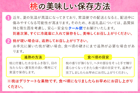 桃 あら川の桃 約2kg　【2027年先行予約】