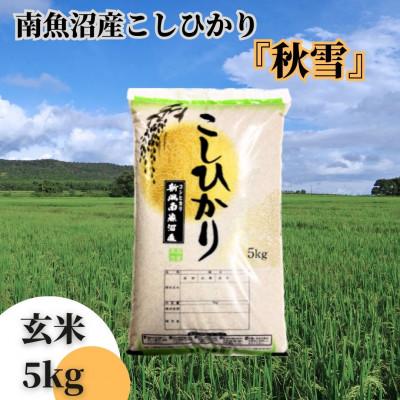 ふるさと納税 南魚沼市 【令和8年産 新米予約】南魚沼産こしひかり「秋雪」玄米5kg 新潟県の特A地区南魚沼市の美味しいお米