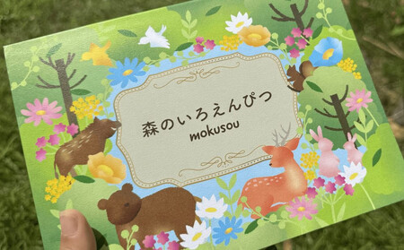 森のいろえんぴつ 10色セット(色鉛筆 いろえんぴつ 色えんぴつ 手作り色鉛筆 手作りいろえんぴつ)