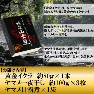 ふるさと納税 三股町 黄金イクラとヤマメ一夜干しセット【A-0203】 |  | 01