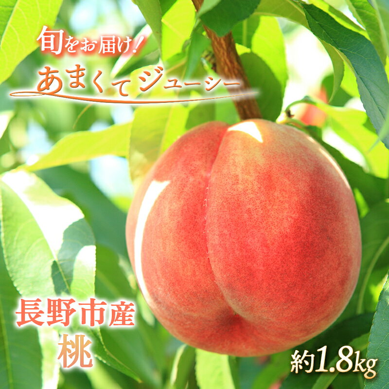 【ふるさと納税】先行予約 桃 約1.8kg 2025年7月下旬より順次発送 オンライン決済限定 白桃 もも モモ フルーツ 果物 くだもの あかつき 川中島白鳳 川中島白桃 旬のフルーツ デザート 限定 信州 長野県 長野 　お届け：2025年7月下旬～9月上旬