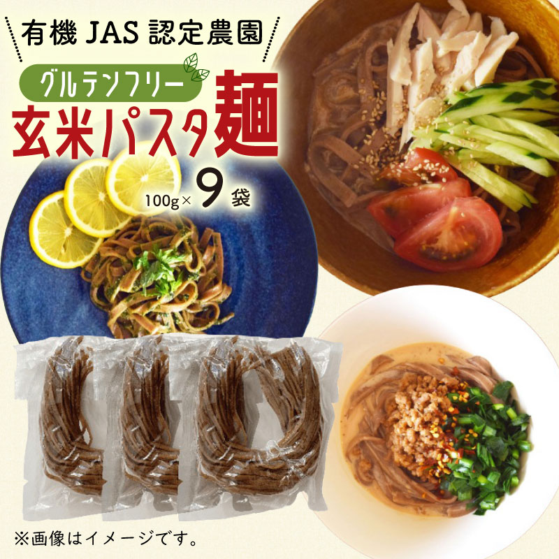 【ふるさと納税】 有機 グアバ 農園 グルテンフリー 玄米 パスタ 麺 100g 9袋 セット グルテン フリー ダイエット 健康 食品 健康 メン 人気 おすすめ 高知県 南国市