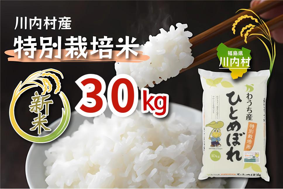 
                  【ふるさと納税】令和7年度 かわうち産 特別栽培米 ひとめぼれ 30kg
                