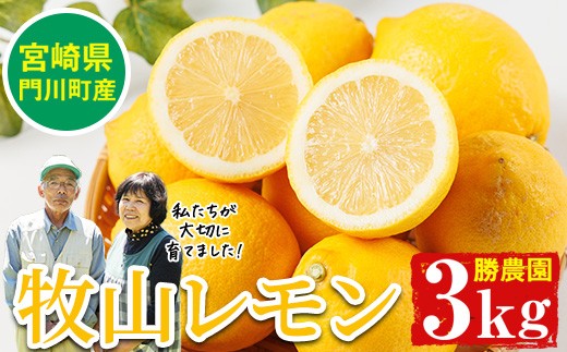 
            国産 牧山レモン(約3kg) 宮崎県 門川町産 柑橘 期間限定 檸檬 レモンサワー 生搾り ノーワックス 【AE-25】【勝農園】
          
