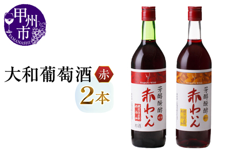 大和葡萄酒が贈る酸化防止剤無添加赤ワイン２本セット（MG）B-698