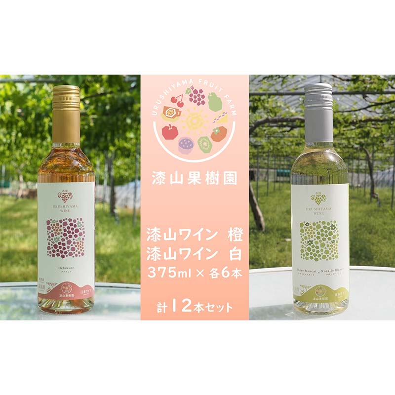 【ふるさと納税】 果樹園生まれの 漆山果樹園ワイン 「漆山ワイン (デラウェア)」 「漆山ワイン (シャインマスカット×ロザリオビアンコ)」 375ml 各6本 計12本セット 『漆山果樹園』 オレンジワイン 白ワイン 山形県 南陽市 [2616]