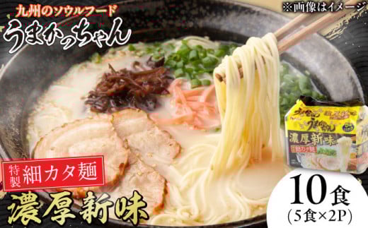 うまかっちゃん濃厚新味 10食 (5袋×2パック) 広川町/亀井通産（株） [AFAR028]