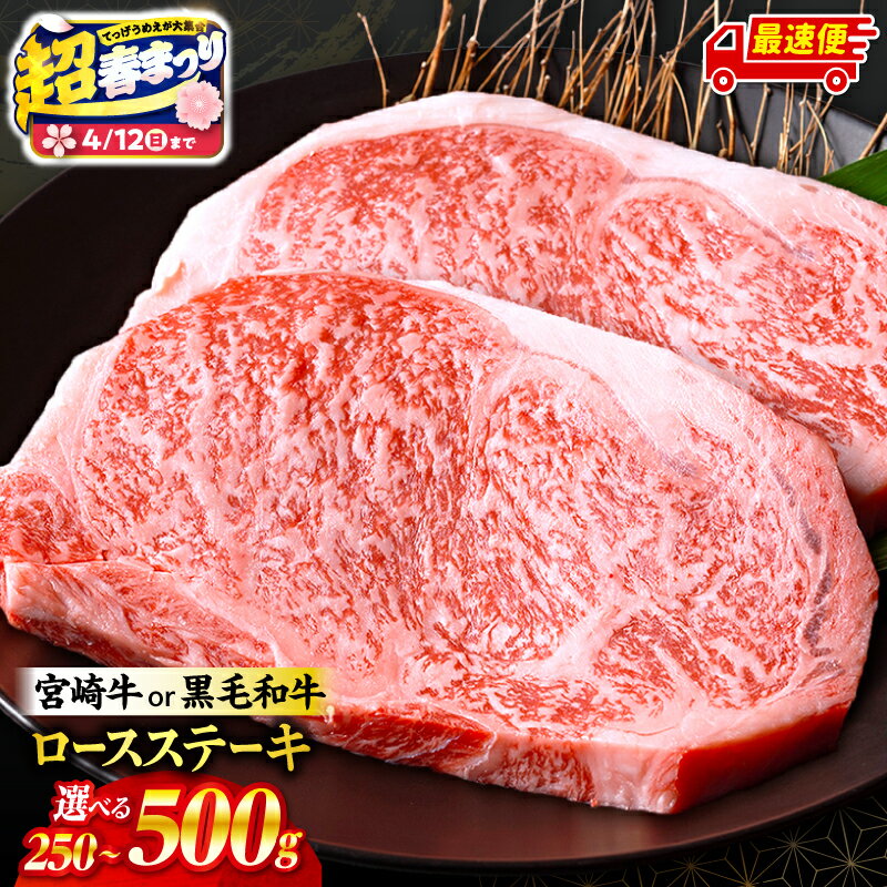 【ふるさと納税】【超！春まつり 生活応援・大感謝規格】【内容量・発送時期が選べる】【数量限定】畜産農家応援！宮崎牛or黒毛和牛ロースステーキ・国産牛ハンバーグ 牛肉 肉 お肉 牛 宮崎牛 黒毛和牛 ロースステーキ 焼肉 ロース ステーキ おすすめ 人気 ミヤチク ふるさと