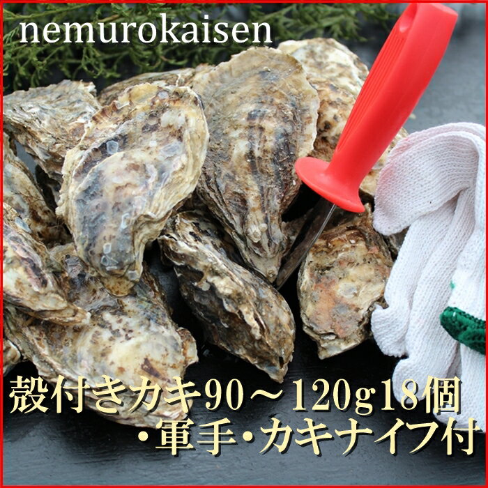 【ふるさと納税】 [北海道根室産] 殻付カキ 90 ~ 120g × 18 個 かき 牡蠣 から付き カラ付き お取り寄せ グルメ 海鮮 濃厚 北海道 根室市 ふるさと納税 B-57026