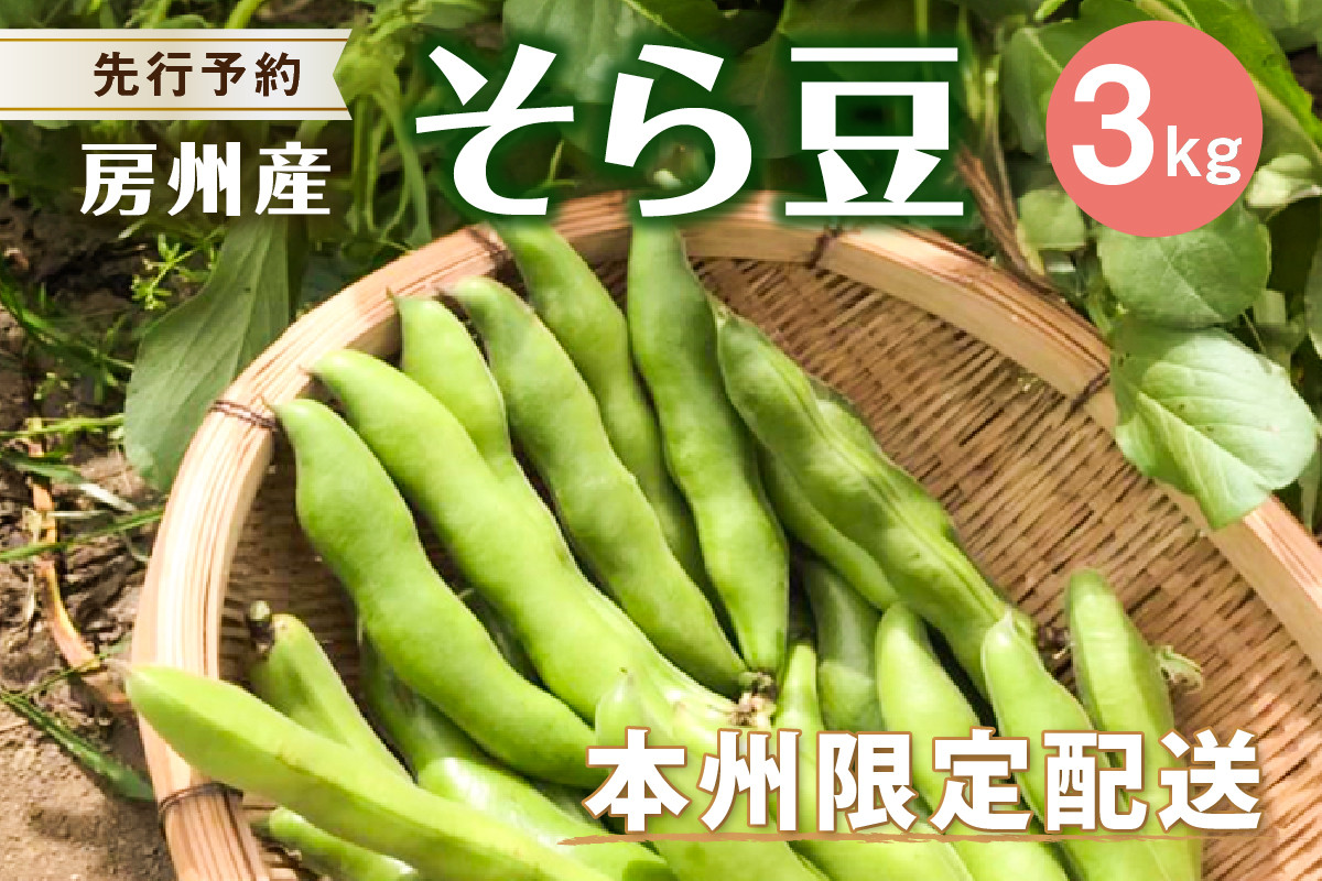 
            【先行受付 2025年4月中旬～5月中旬発送予定】そら豆/ソラマメ3kg mi0044-0009【豆 野菜 期間限定 数量限定 新鮮 朝採れ】
          