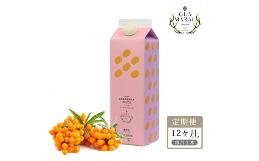 
【定期便】 サジージュース 100% 1000ml×毎月1本 12ヶ月コース サジー シーベリー 沙棘 グアマラル 健康ドリンク 健康 美容 栄養 果汁 鉄分補給 栄養補給 健康食品_DX09
