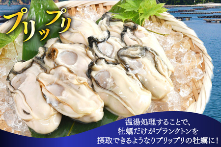 【期間限定発送】 ヤマヨ水産の牡蠣 加熱用 500g 《1月前半～出荷》 [気仙沼市物産振興協会 宮城県 気仙沼市 20565984]