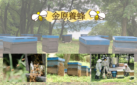 はちみつ 国産 百花 1.2kg ｜ はちみつ