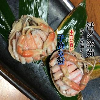 【ボイル】鳥取県産 セコガニ 訳あり 良品 2kg ※2024年11月上旬～12月下旬頃に順次発送予定◇