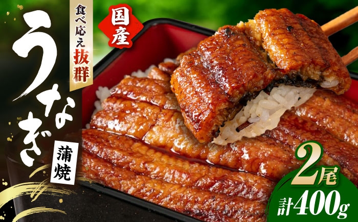 
                  うなぎ蒲焼 うなぎ 国産 2尾 約400g | うなぎ ウナギ unagi 国産鰻 こくさんうなぎ 蒲焼 蒲焼き かばやき 国産 魚介 海鮮 魚 鰻 うなぎ ウナギ 蒲焼国産 惣菜 おかず 鰻の蒲焼 冷凍 明治創業 老舗 伝統 国産 土用丑の日 丑の日 秘伝のタレ お祝い ご褒美 滋賀県長浜市/株式会社 魚三 [AQDF007] 
                