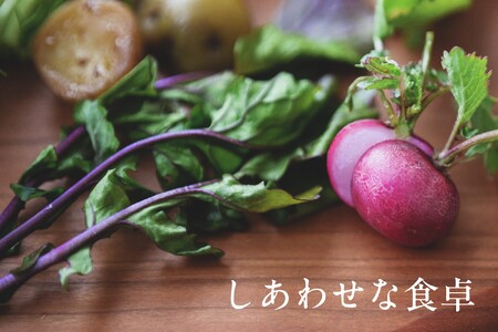 【毎月定期便】しあわせ野菜畑の有機野菜Ｌセット（安心の有機JAS認証　旬のオーガニック野菜　農場直送便）全3回　6869