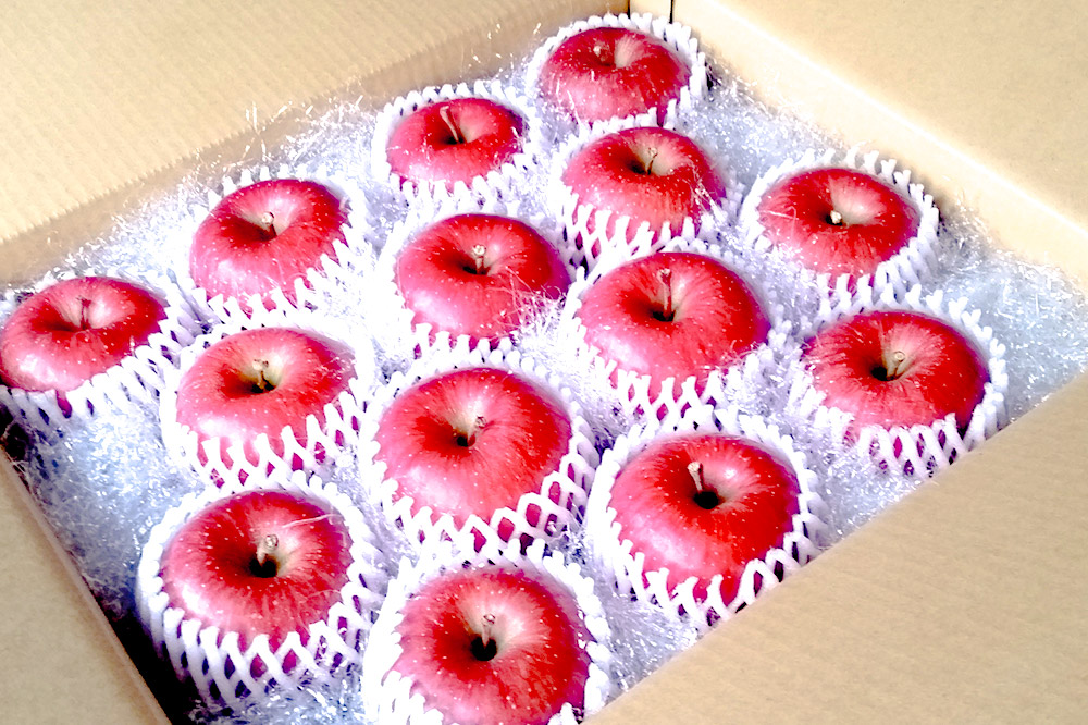 【25年12月〜発送】りんご サンふじ 贈答用 約3kg しらかみラボ