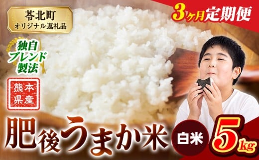 【3か月定期便】米  熊本県産 肥後うまか米 5kg 白米 精米 こめ コメ お米 おこめ ブレンド米《申込月の翌月から出荷開始》熊本県産 コメ お米 おこめ