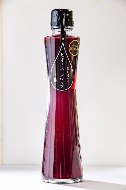 .NISSHOKU　FARM　特選　大粒ぶどうとピオーネシロップのセット（シャインマスカット入り）岡山【C-11】