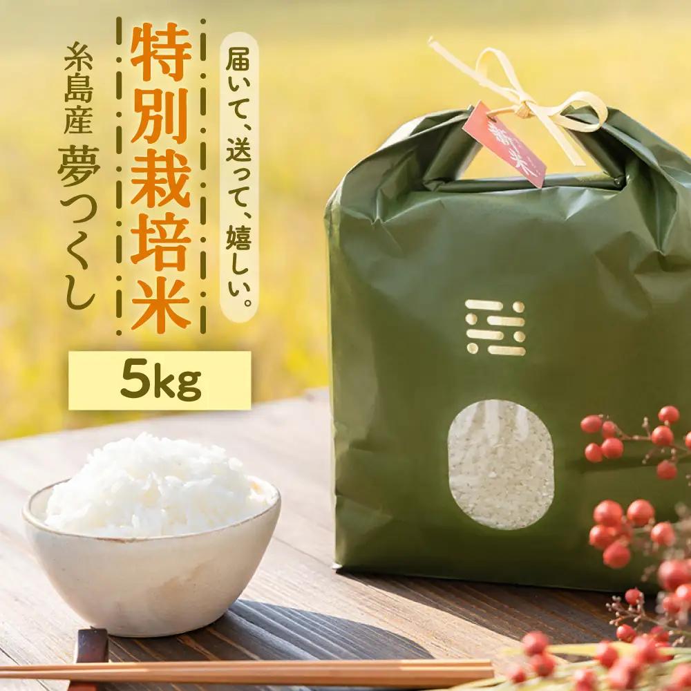 とくべつの中のとくべつ 特別栽培米 5kg 夢つくし 吉富町/(株)やました[BGBX005]