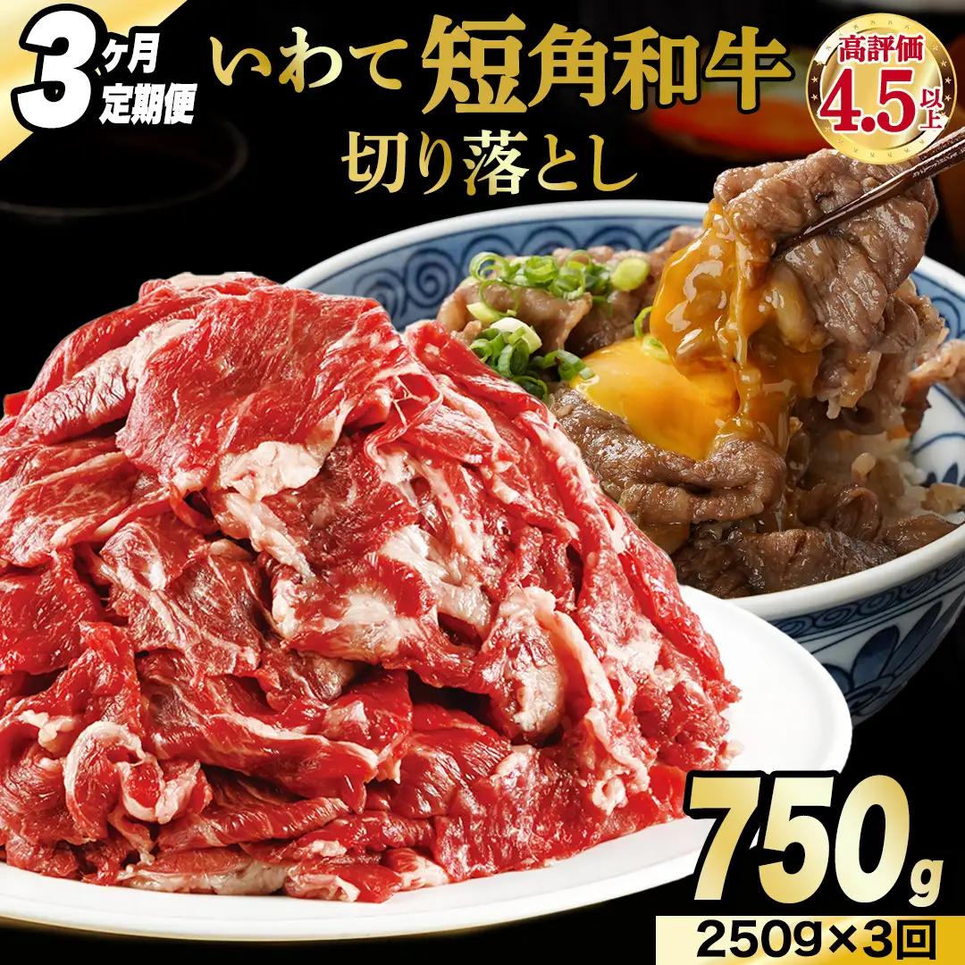 ＼3ヶ月連続 定期便／ 切り落とし 牛肉 赤身 肉 いわて 短角和牛 250g (総計 750g) (AB111)