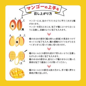 【家庭用】くるめで育った完熟マンゴー（4～6個：約1.5㎏～約1.8kg）