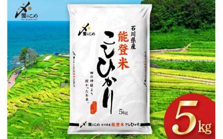 米 令和6年 能登米 こしひかり 精米 5kg [中橋商事 石川県 宝達志水町 38601139] お米 白米 ごはん 美味しい コシヒカリ おこめ こめ コメ 5キロ