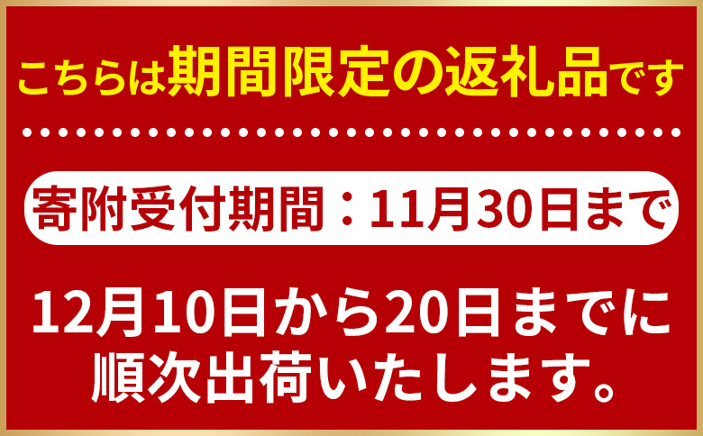 【予約受付】数量期間限定＜クリスマスローストチキン（塩味）1羽＞2025年12月10日〜20日迄に順次出荷【 国産 鶏 鶏肉 チキン 加工品 惣菜 お祝い パーティー ホームパーティー アウトドア B