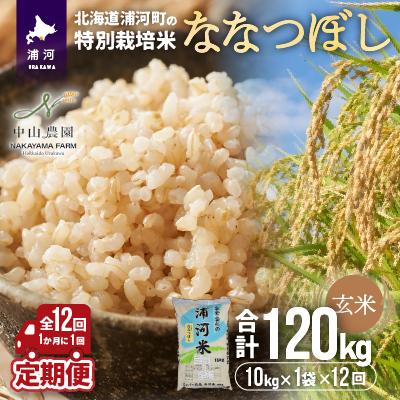 ふるさと納税 浦河町 浦河町特別栽培米「ななつぼし」玄米10kg×1袋定期便(全12回)[37-1219]