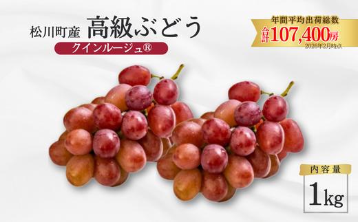 TK13　ぶどう クイーンルージュ®  約1kg ／2026年9月下旬～10月中 配送予定 // 稀少 新品種 長野県 南信州 松川町産 高糖度 葡萄 クインルージュ® 甘い 種なし 皮ごと