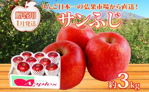 
                  りんご 【1月発送】糖度13度～ 贈答用 サンふじ 約3kg　リンゴ 林檎 青森りんご 糖度 13度 甘い 酸味 デザート フルーツ 果物 お取り寄せ 産地直送 旬 季節限定 弘果物流 青森県 西目屋村 西目屋村産
                