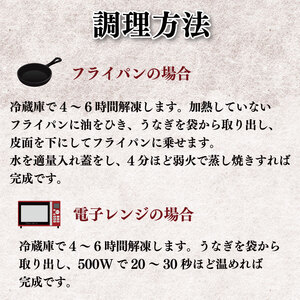 国産うなぎ 炭火焼 250g 1尾 タレ付  【 うなぎ 】