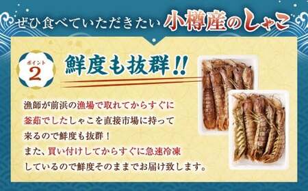 ボイル しゃこ オス・メス 合計30尾 （各15尾）