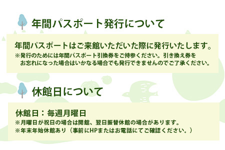 【1年間パスポート】那賀町山のおもちゃ美術館【大人1名（高校生以上）】 CA-1 徳島 那賀 おもちゃ美術館 おもちゃ 美術館 年間パスポート 入場券 知育 木育 遊べる美術館 体験 体験型 こども 