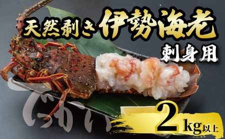 【 伊勢海老 】 伊勢海老刺身用2kg