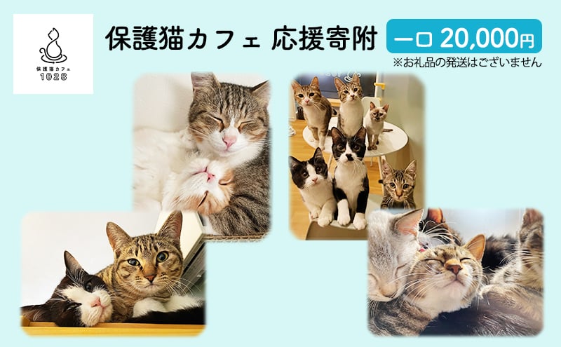 
20-999 保護猫カフェへの寄附 【お礼品の発送はございません】一口20,000円

