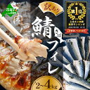 【ふるさと納税】総合1位獲得 訳あり 塩 サバ フィレ 2～4kg 【内容量が選べる】（ふるさと納税 国産 鯖 ふるさと納税 サバ 塩サバ 魚 切り身 ふるさと納税 訳あり 魚 ふるさと おかず 惣菜 大容量 魚介 ヒレ フィレ ） 北海道 別海町（クラウドファンディング対象）