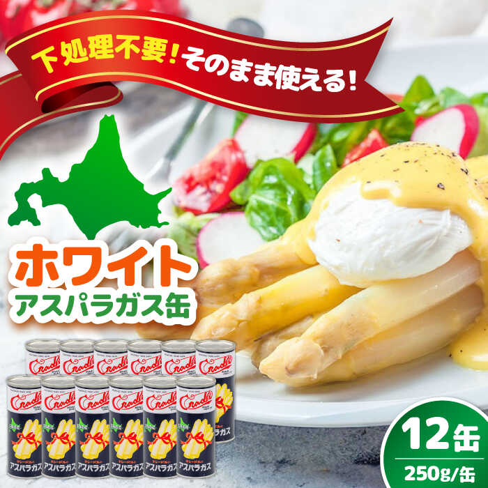 【ふるさと納税】先行予約 ホワイトアスパラガス 12缶《喜茂別町》【きもべつ観光協会】 アスパラ アスパラガス ホワイトアスパラ 缶詰 缶 サラダ 北海道 常温 常温配送 北海道 [AJAG012] 40000 40000円 4万円