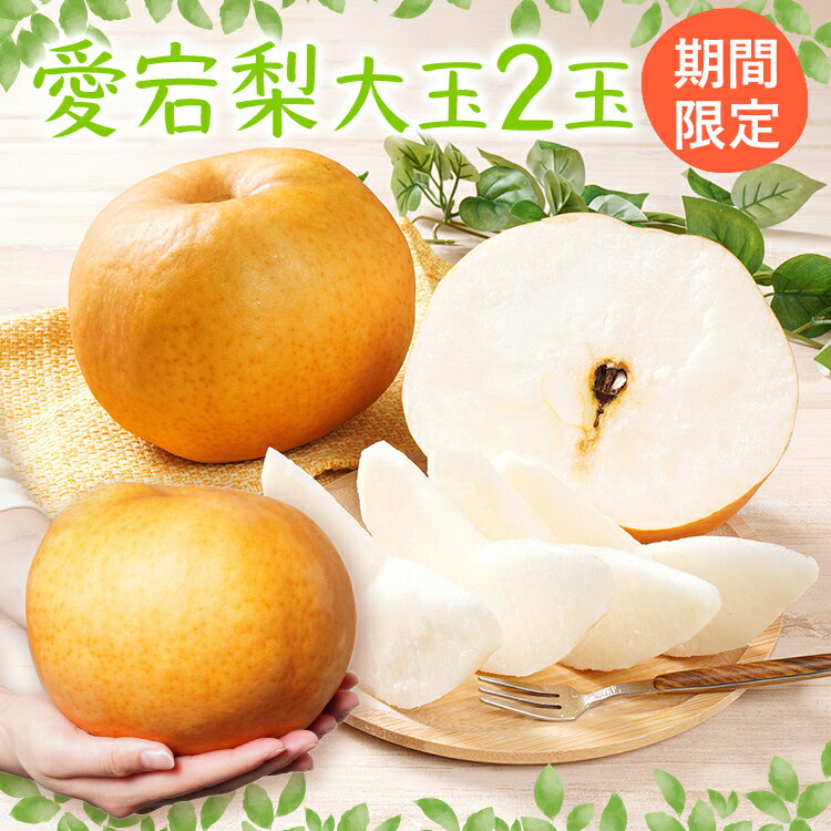 【ふるさと納税】 梨 愛宕梨 大玉2玉 フルーツ 予約 数量限定 日本一大きな梨 なし 期間限定 【2025年11月上旬頃より順次出荷】